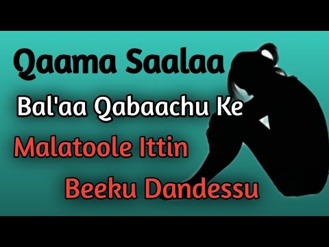 Dubartooni Qaamaa Saalaa Bal Aa Yoo Qabaatan Malatoole Ittin Beeku Danda An Drabdisa Hacaluhundesa Dubartooni Qaamaa Saalaa Bal Aa Yoo Qabaatan Malatoole Ittin Beeku Danda An Drabdisa Hacaluhundesa
