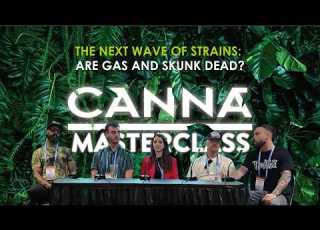 The Next Wave Of Strains Are Gas And Skunk Dead CANNA Masterclass 4
