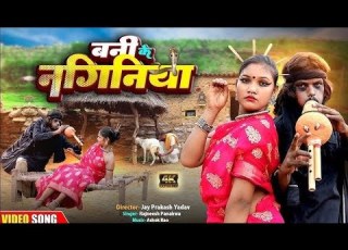 Video Kaini Ha Kamedy Tani Has Detu New Bhojpuri Song