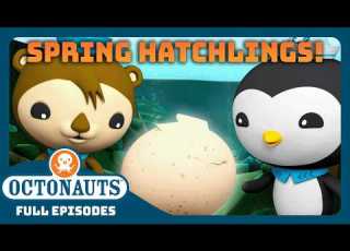 Octonauts Cutest Spring Babies 90 Mins Full Episodes Marathon