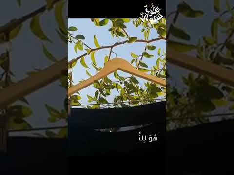 الحمد لله اكملت حجابي بلبس نقابي شعور جميل لبس النقاب والخروج به لاول مرة اللهم ادمها نعمة النقاب