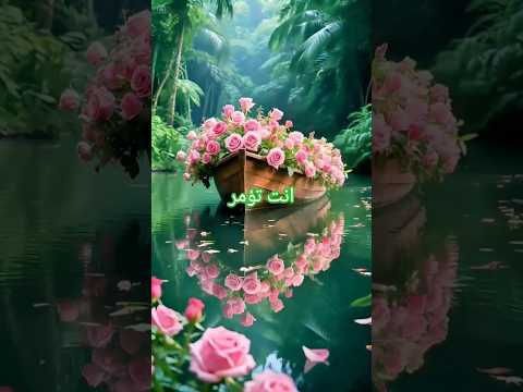 انت تؤمر ياحلو وانا اجيبلك