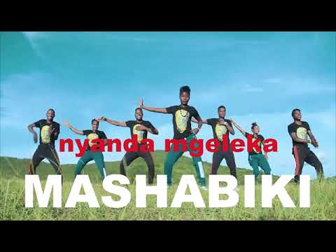 Nyanda Mgeleka Song Mashabiki