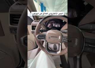 الجير الإلكتروني العلاق في اليوكون دينالي 2025