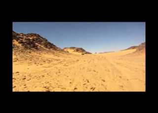 الحرافيش ضاع الونس