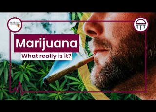 What Is Marijuana