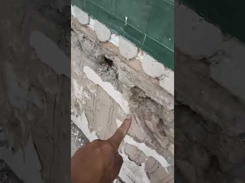 بيرة لولا شربتها