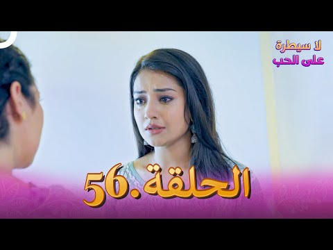 لا سيطرة على الحب الحلقة 56
