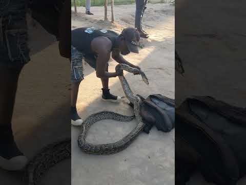 CHATU Behind The Scene