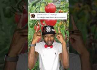  A Rap Song About Tomatoes Rap Rapper