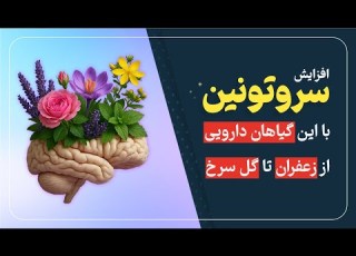  افزایش سروتونین با گیاهان دارویی