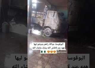  النعامة الهند القديم شركة Gak30 جياكة Berliet Gak30 Shorts Algeria Dz Fyp France