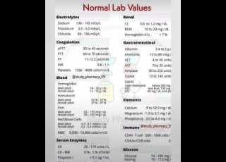  Normal Lab Values