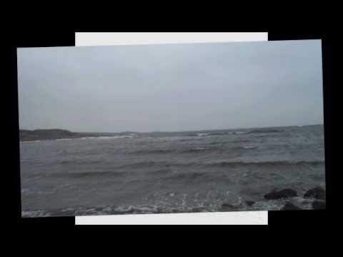 Mwendo Dawa Music LJRecords