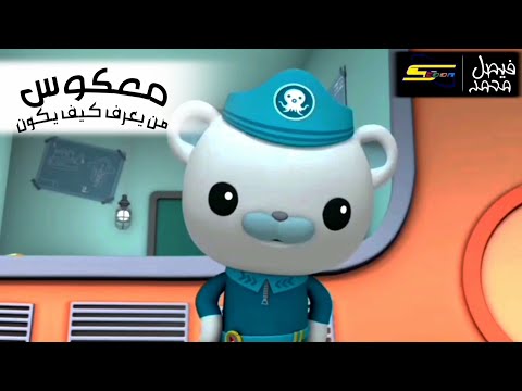 معكوس أغنية من يعرف كيف يكون Fmohmmad Tv
