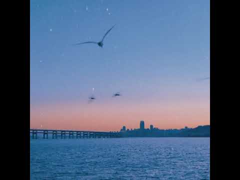 و إني برغم الظلام لست بيأس