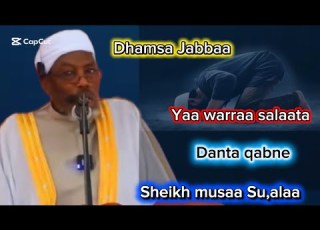 Yaa Warraa Salaata Danta Qabne Sheikh Musaa Su Alaa