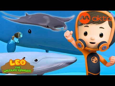 SAVING SPERM WHALE And MANTA RAY Leo Compilation Mediacorpokto