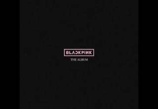 Pretty Savage Official Studio Acapella