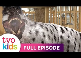  DINO DANA Dino Deep Freeze Full Episode