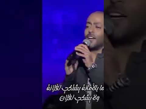 باي باي تامر عاشور