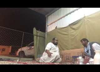 مضاربة شيبان