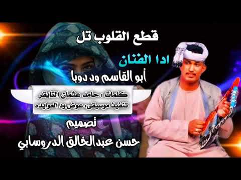 جديد الفنان ابو القاسم ود دوبا اغنية تل تل قطع القلوب تل 2023 جديد الفنان ابو القاسم ود دوبا اغنية تل تل قطع القلوب تل 2023