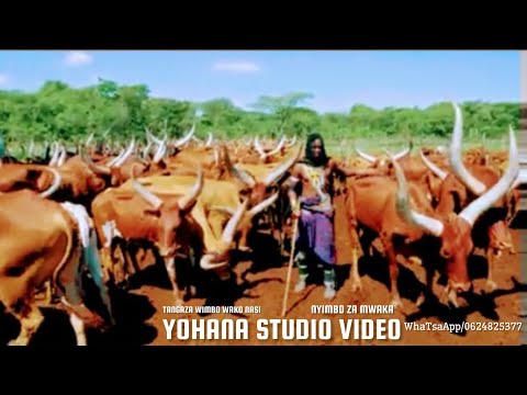 JIMINOGENI DOTO MDENDELA MISOGA NG WANA YOHANA Official Audio Msambazaji Yohana Studio Video 2026