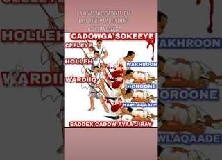 Djibouti Somalia Ethiopia DIIRAADDA ZOOM Ogeysiis Avis Notice إشعار SHIRQOOL