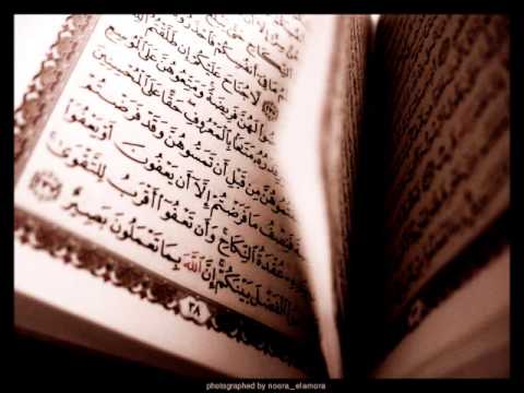 سورة المائدة محمود علي البنا