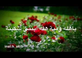 مولد السيده سكينه