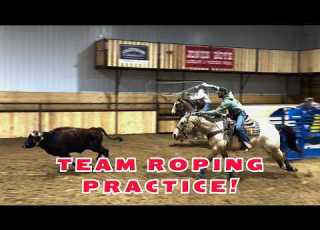 تدريب على ركوب الخيل الجماعي