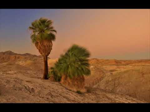 تلاوة ندية لسورة غافر للشيخ أحمد العبيد بدون إعلانات