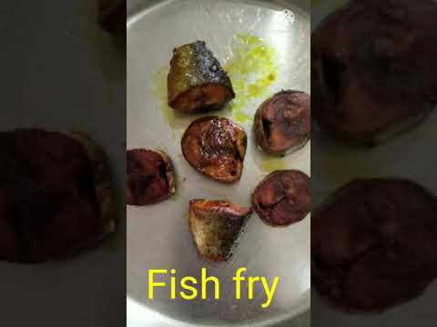 Tuna Fish Fry Recipe Fishfry Fishrecipes Simplefishfry Shorts