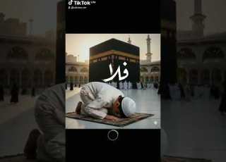 8 Mars 2026