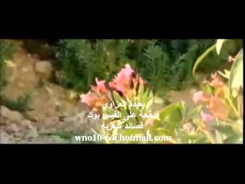 شيله الحب صدمات وتلويع اداء جفران المري