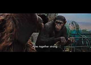  Apes Together Strong Rise Of The Planet Of The Apes Movie Scene