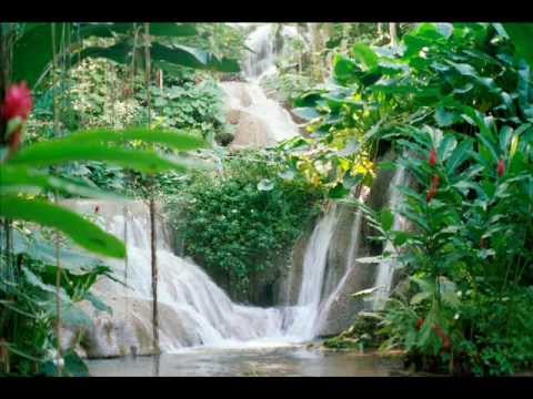 MINISTER LUBERT LEVY BLESSINGS FLOWING