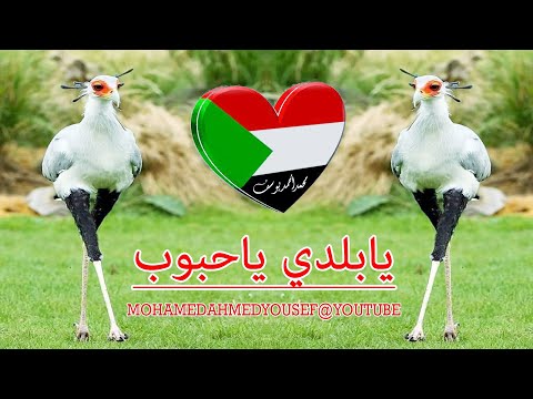يابلدي ياحبوب محمد وردي