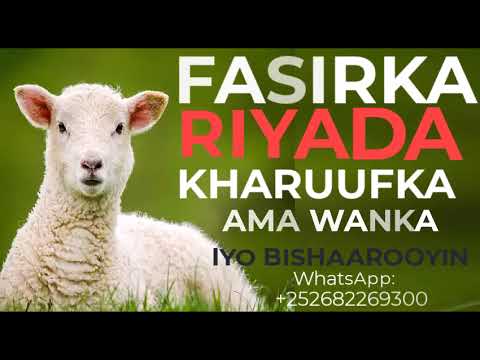 RIYADA UGU FARXADA IYO NASIBKA BADDAN QOFKII KU RIYOODA WANKA AMA KHARUUFKA BISHANA UGUMA SII JIRTO