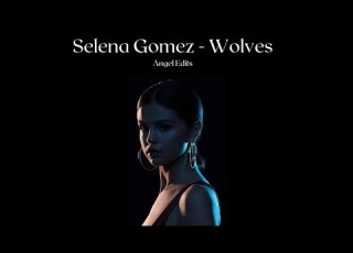 Selena Gomez Wolves Reverb Acapella