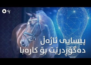  پیسایی ئاژەڵ دەگۆڕدرێت بۆ کارەبا