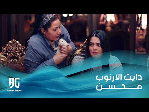 اشغال شقة مش هتبطل ضحك على دايت الارنب محسن