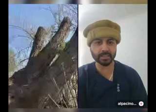  فریده کوسی را در نوک درخت بالاکرد