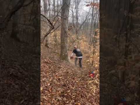 Kein Fehler Duett Baumpflege DieAndereSeiteDerFantasie