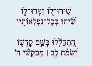 שירו לו זמרו לו אדמו ר מסקולען זצוק ל ביצוע ר דוד וערידיגער זצ ל