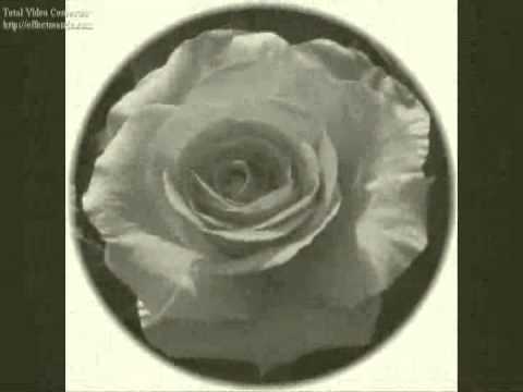 CHEB BAHWAWI YELLI RAK FI GALBI