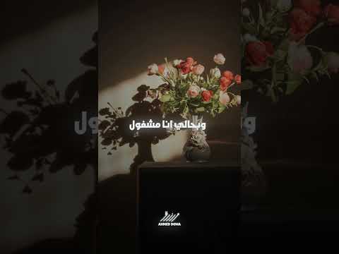 هانت وجاي النور Ahmed Doma Music اكسبلور Foryou حالات واتس احمد دومه ارزاق معانده بتبص