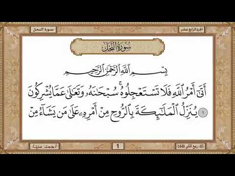 سورة النحل مكتوبة حسن صالح بدون اعلانات سورة النحل مكتوبة حسن صالح بدون اعلانات