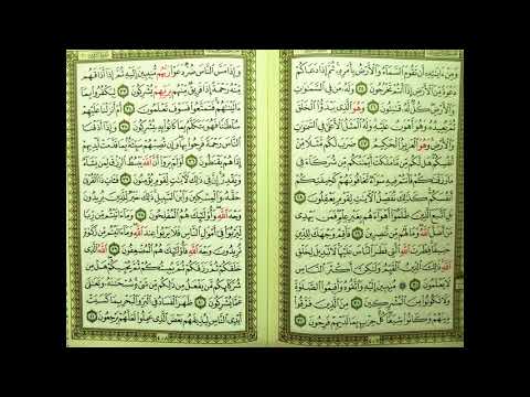 204 قرآن للشيخ مشاري بن راشد العفاسي